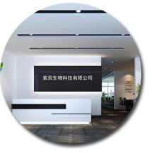 紫辰生物科技有限公司 紫辰生物科技有限公司